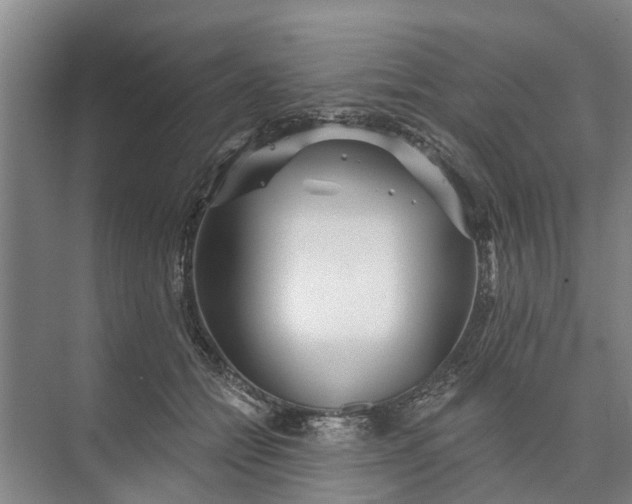 X0000072940558200608041245