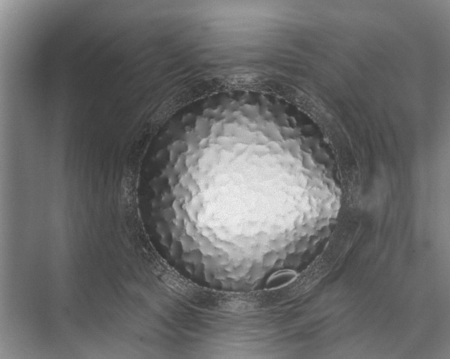 X0000072940561200608041245