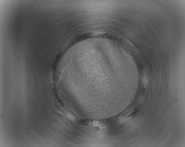 X0000072940565200608041245