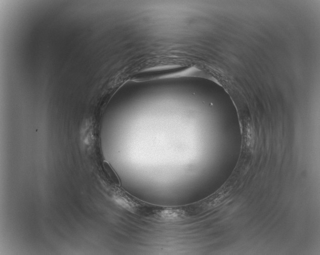 X0000072940566200608041245