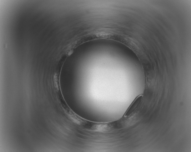 X0000072940575200608041245