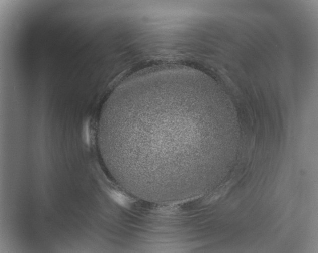 X0000072940576200608041245