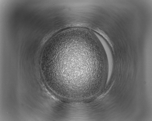 X0000072940577200608041244