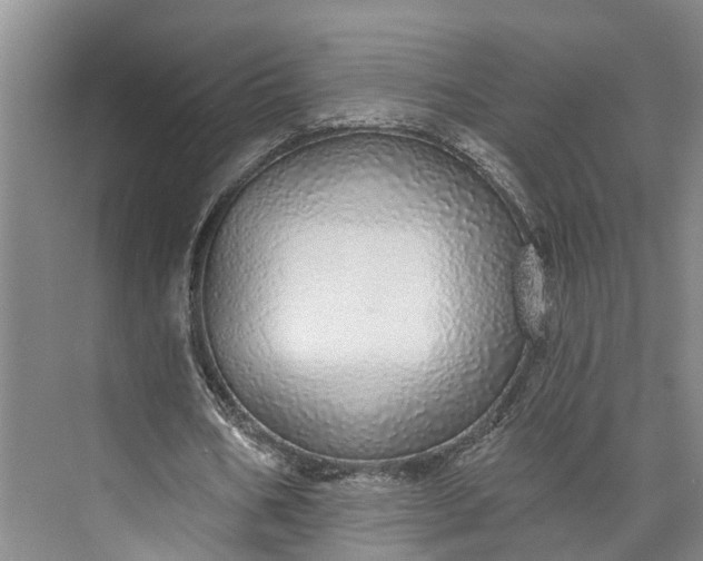 X0000072940578200608041244