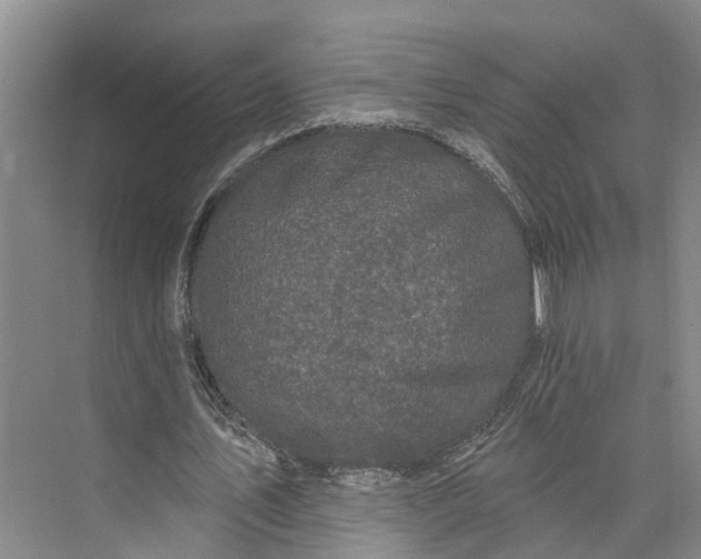 X0000072940579200608041244