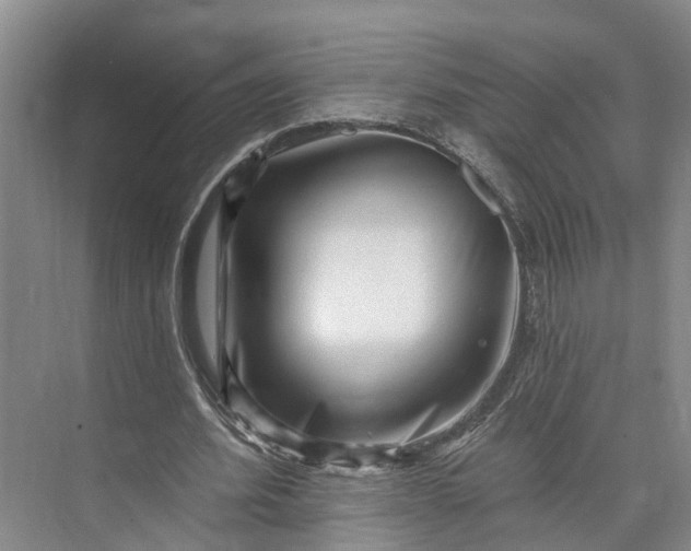 X0000072940580200608041244