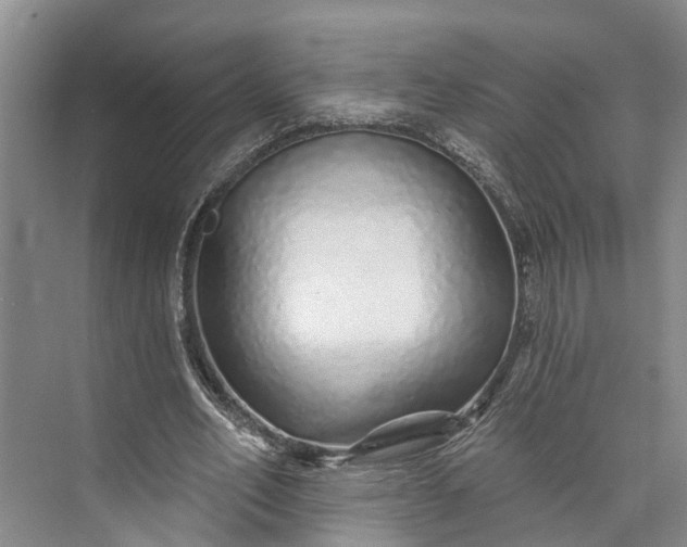 X0000072940582200608041244