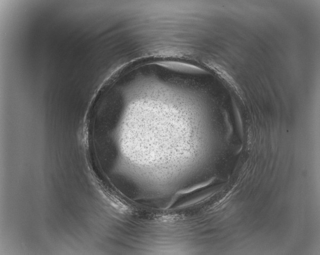 X0000072940584200608041244