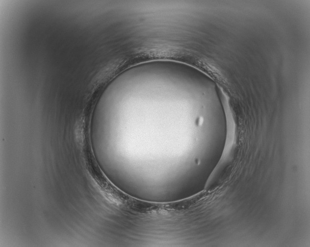 X0000072940586200608041244