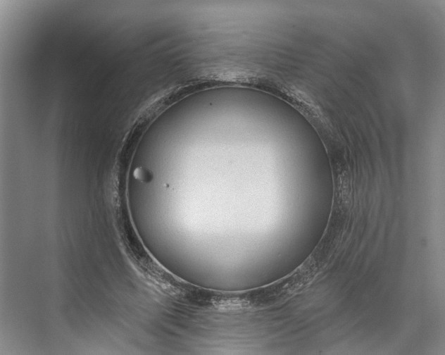 X0000072940587200608041244