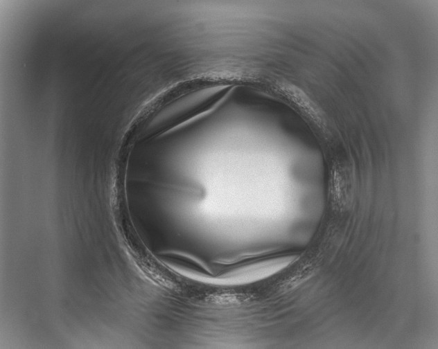 X0000072940588200608041244