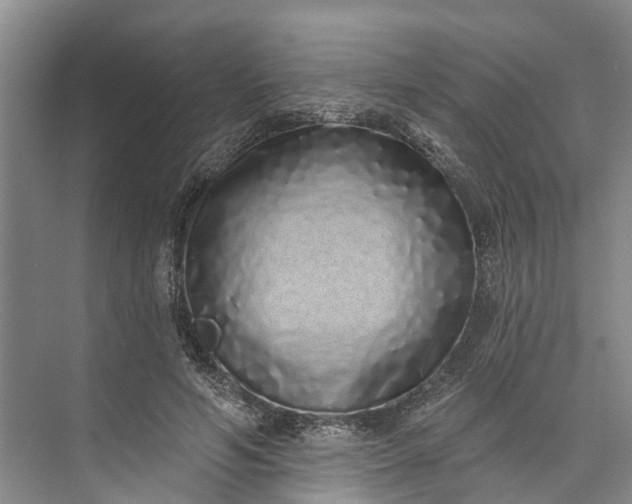 X0000072940594200608041244