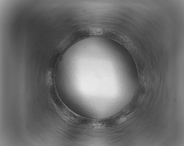 X0000072940598200608041244