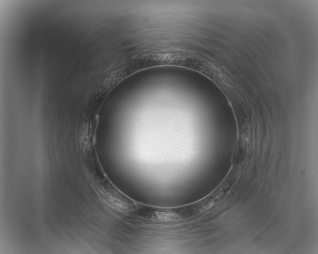 X0000072940605200608041244