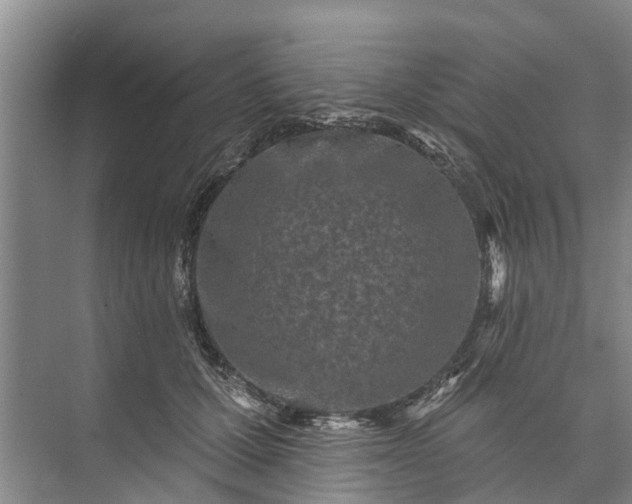 X0000072940607200608041244