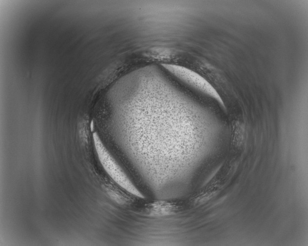 X0000072940612200608041243