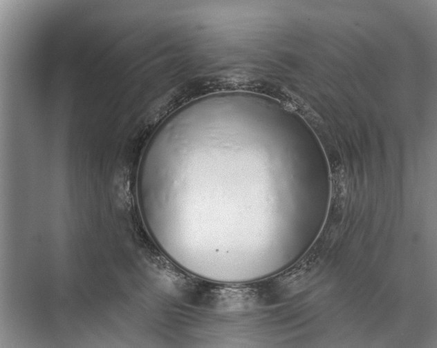 X0000072940615200608041243