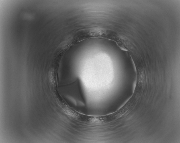 X0000072940616200608041243