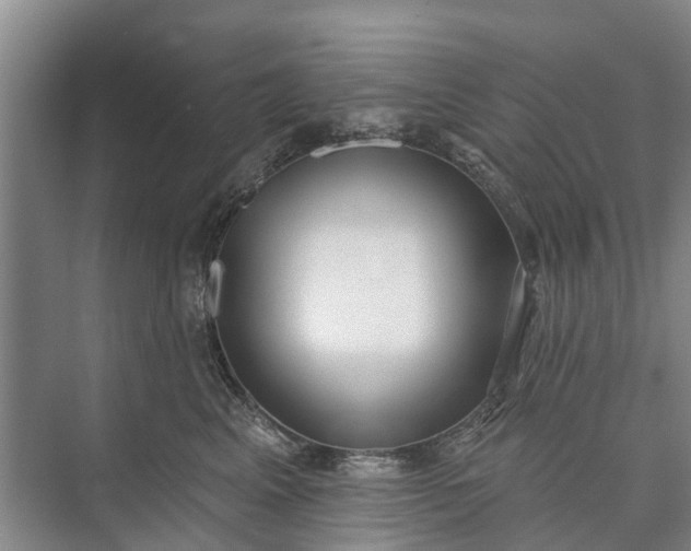 X0000072940617200608041243