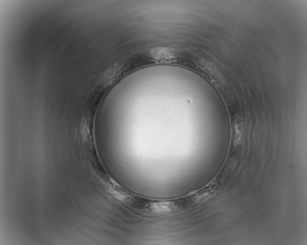 X0000072940618200608041243