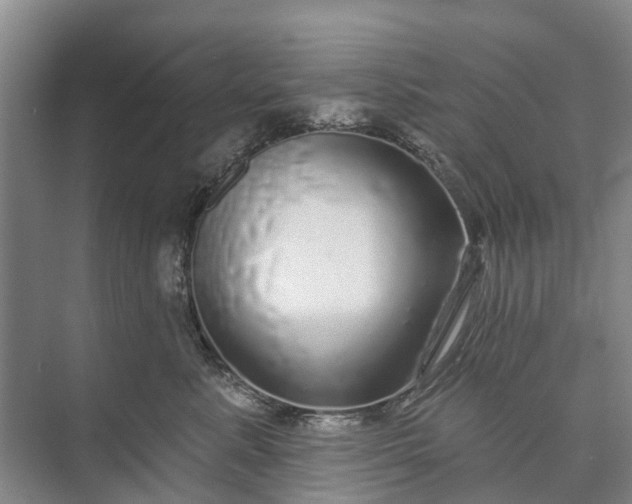 X0000072940619200608041243