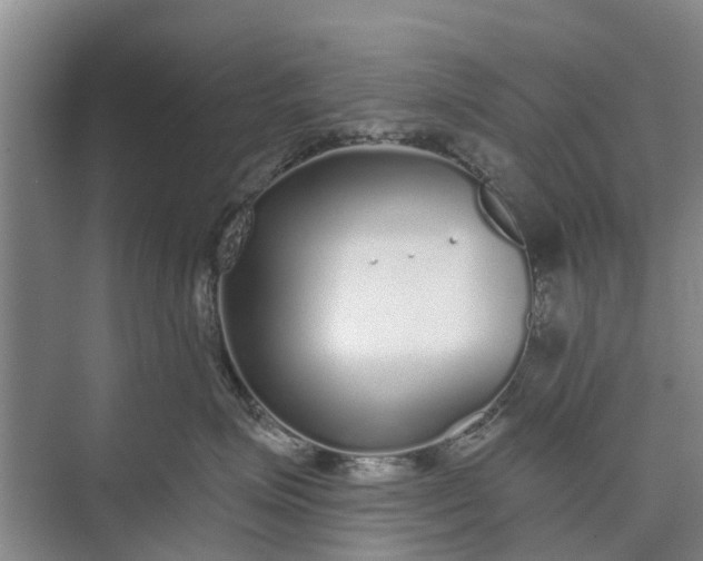 X0000072940623200608041243