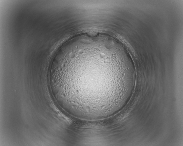 X0000072940625200608041242