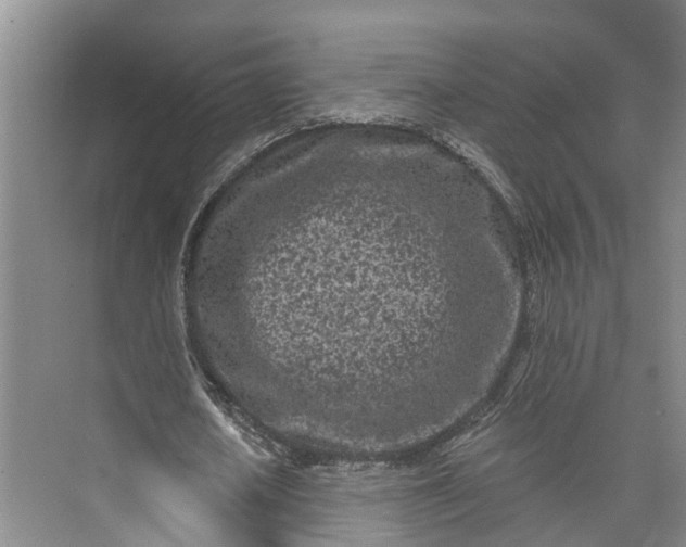 X0000072940626200608041242