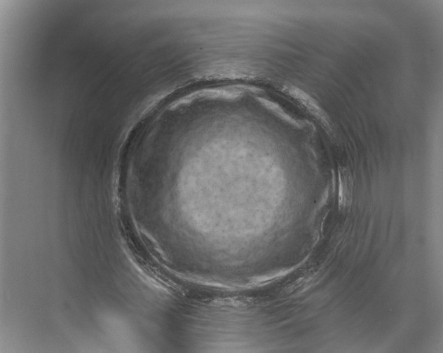 X0000072940627200608041243