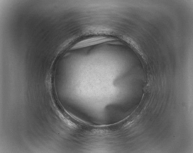 X0000072940629200608041243