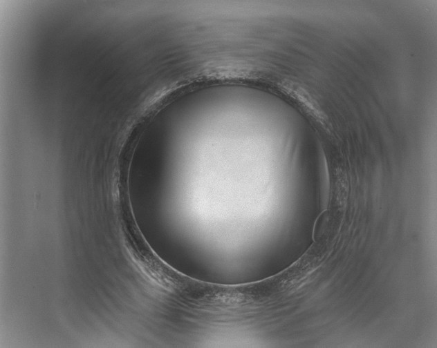 X0000072940631200608041243