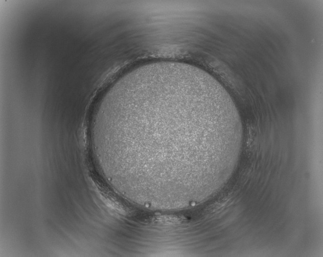 X0000072940636200608041243