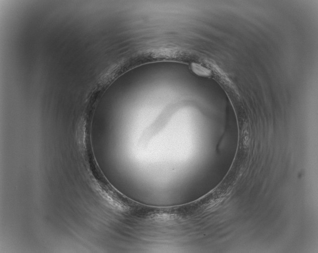 X0000072940637200608041243