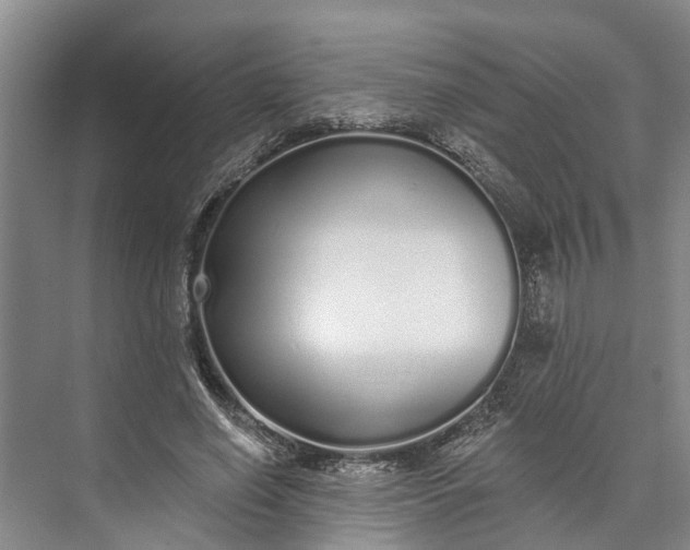 X0000072940638200608041243