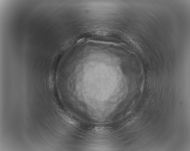 X0000072940641200608041243