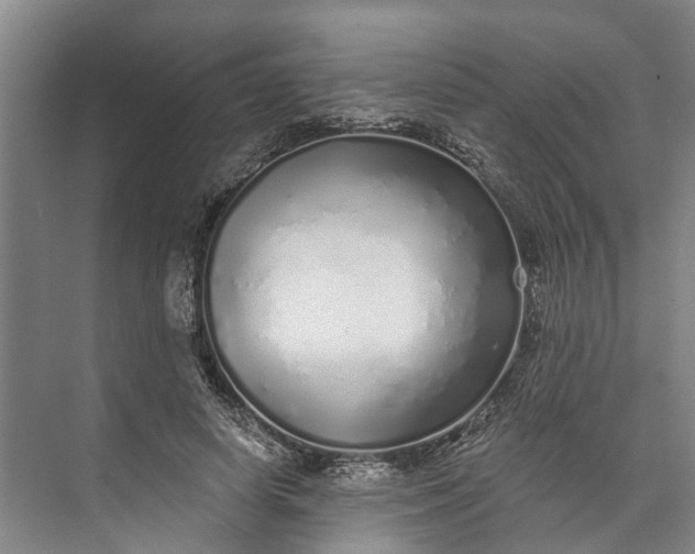 X0000072940642200608041243