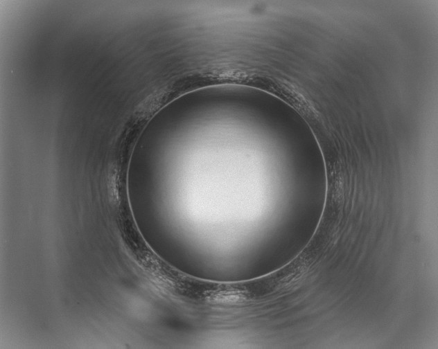 X0000072940643200608041243