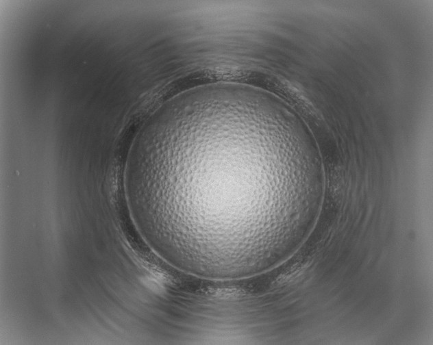 X0000072940645200608041243