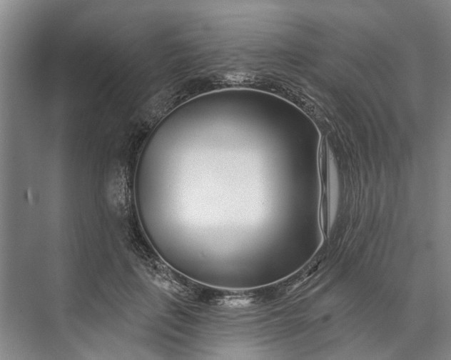 X0000072940651200608041243