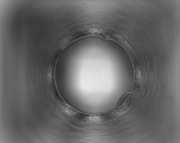 X0000072940668200608041243