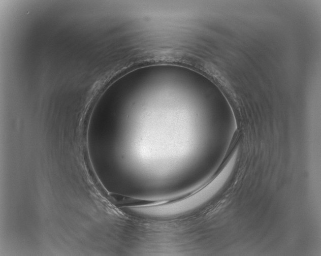 X0000072940673200608041242