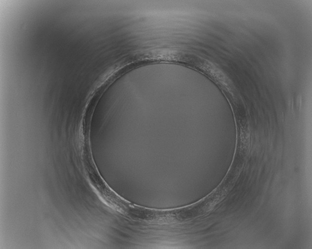 X0000072940674200608041242