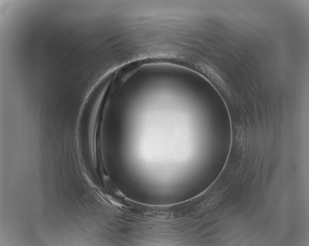 X0000072940676200608041242