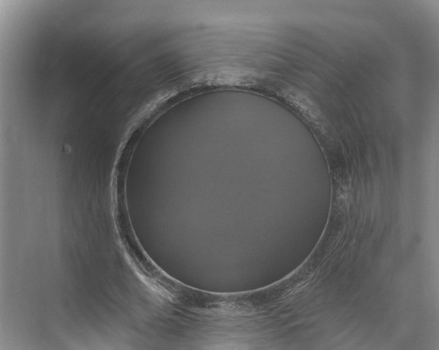 X0000072940678200608041242