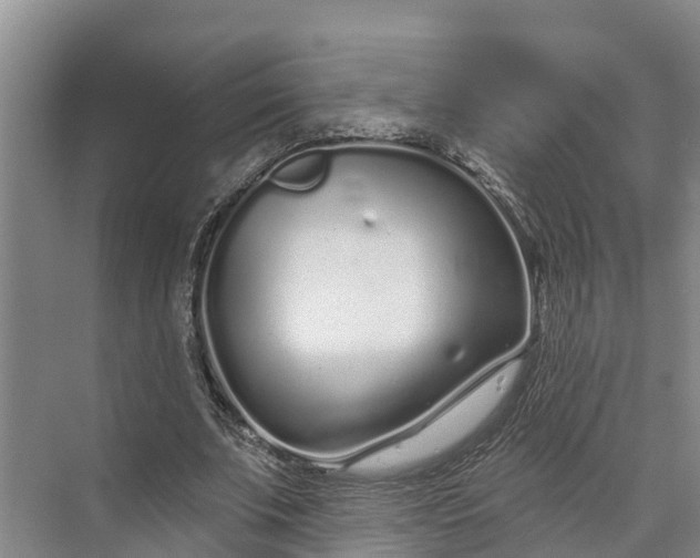 X0000072940679200608041242