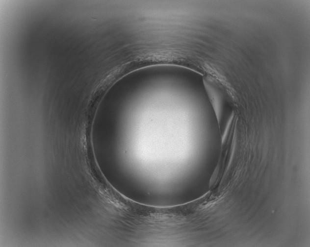 X0000072940681200608041242