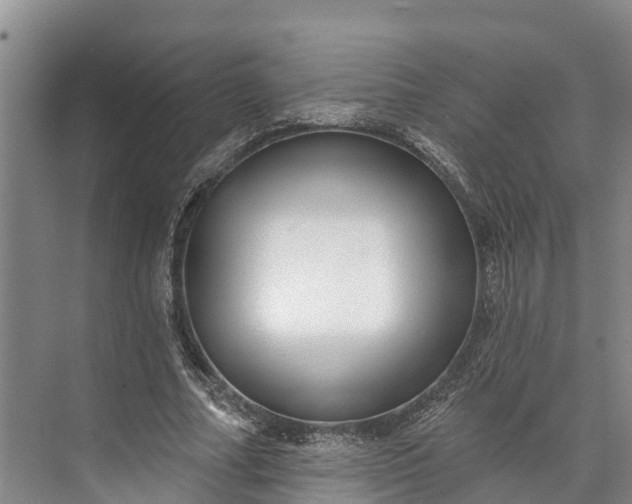 X0000072940682200608041242