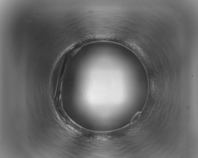 X0000072940684200608041242