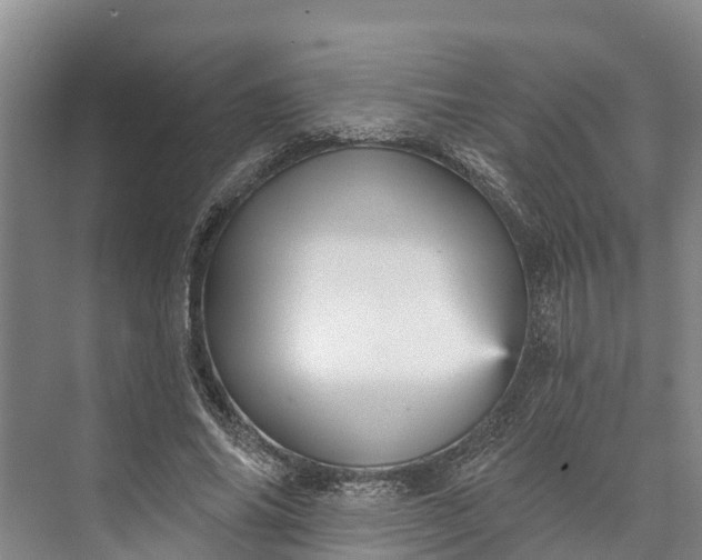 X0000072940686200608041242