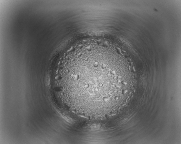 X0000072940687200608041242